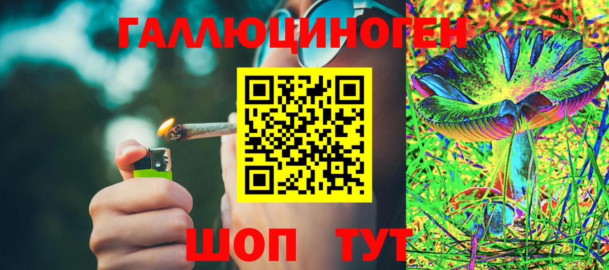 Псилоцибиновые грибы MAGIC MUSHROOMS  закладки  Вход с VPN  Усть-Илимск  Галлюциногенные грибы Psilocybine cubensis 