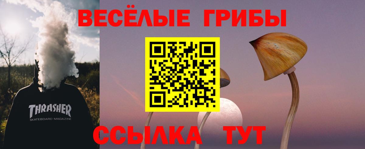 Псилоцибиновые грибы GOLDEN TEACHER Усть-Илимск